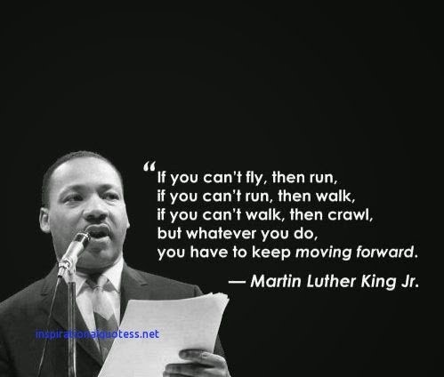 "If you can't fly, then run.  If you can't run, then walk.  If you can't walk, then crawl, but whatever you do, you have to keep moving forward." Martin Luther King Jr.